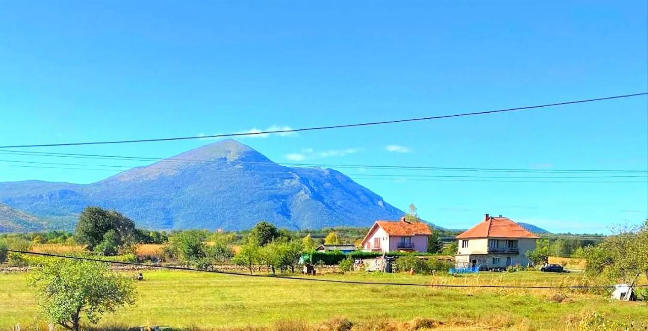 Villa Saturea Boljevac 외부 사진